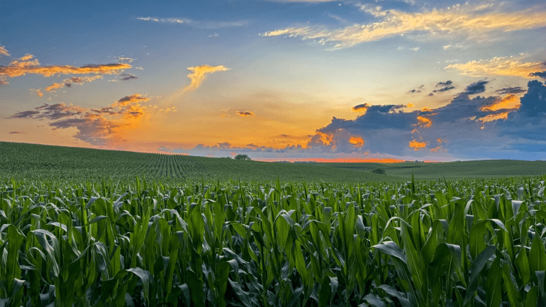 FCC Turns Iowa Farms Into 6G Testbed